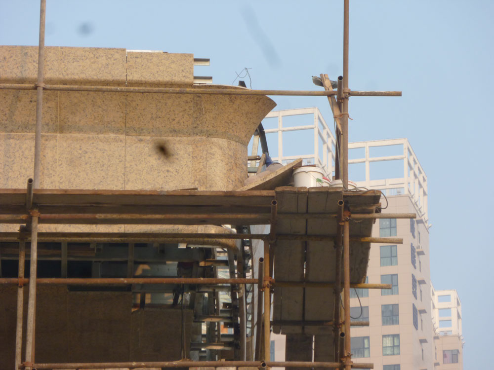 DB����.(�й�)�ٷ���վ