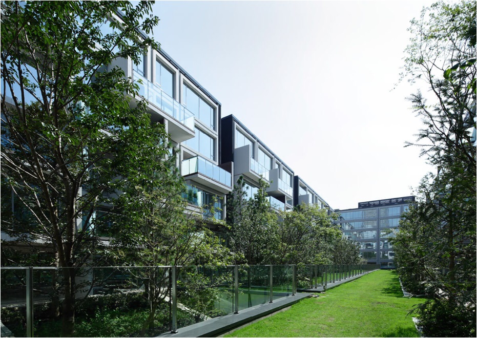 DB����.(�й�)�ٷ���վ