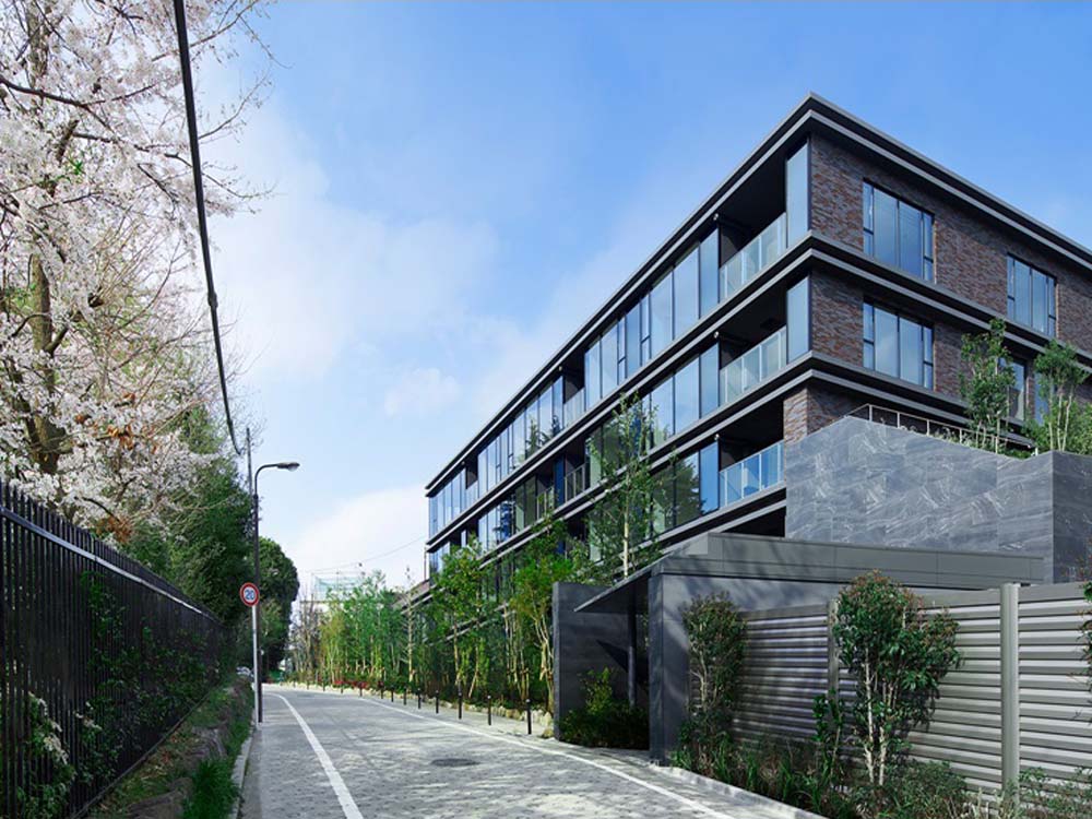 DB����.(�й�)�ٷ���վ